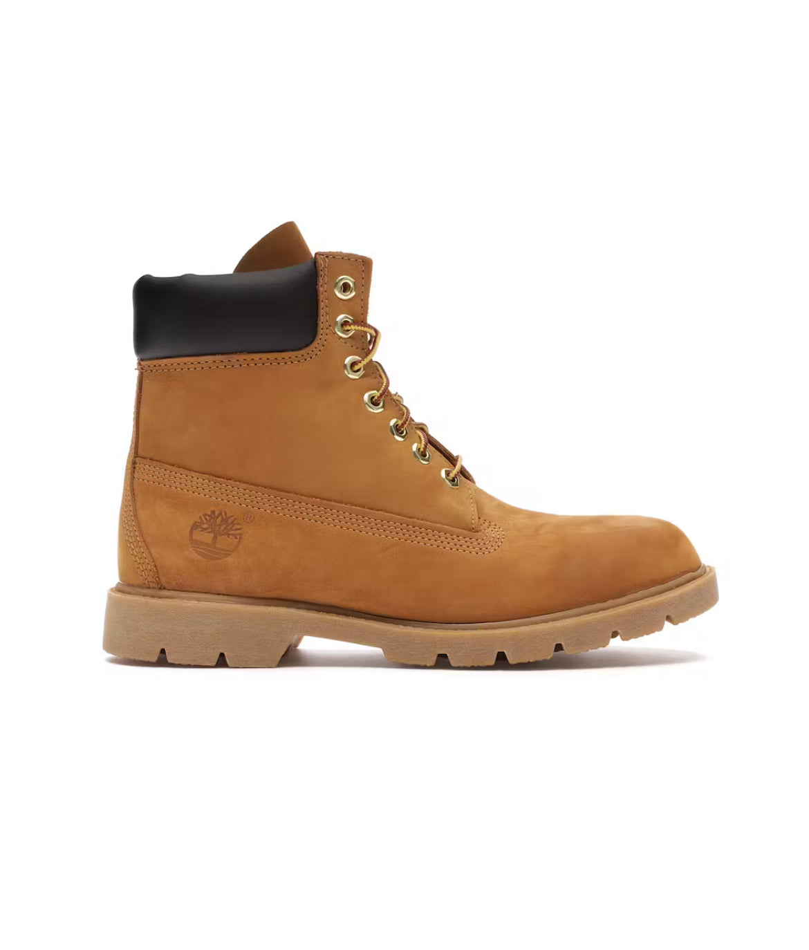 Bota básica Timberland 6”