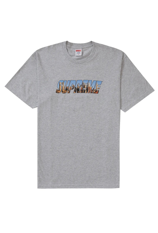 Supreme Gotham Tee Grey